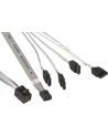 Supermicro SAS3 cross-over Cable SFF-8643 (mini SAS HD) to 4 x SATA 55cm - nr 7