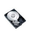 Fujitsu HDD SATA III 1000GB 7,2 S26361-F3660-L100 - nr 12