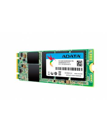 Adata SSD Ultimate SU800 1TB M.2 560/520 MB/s 3D 8cm