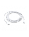 Apple USB-C Charge Cable 2M MLL82ZM/A - nr 9