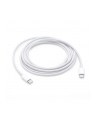 Apple USB-C Charge Cable 2M MLL82ZM/A - nr 29