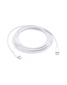 Apple USB-C Charge Cable 2M MLL82ZM/A - nr 3