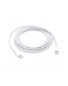 Apple USB-C Charge Cable 2M MLL82ZM/A - nr 5