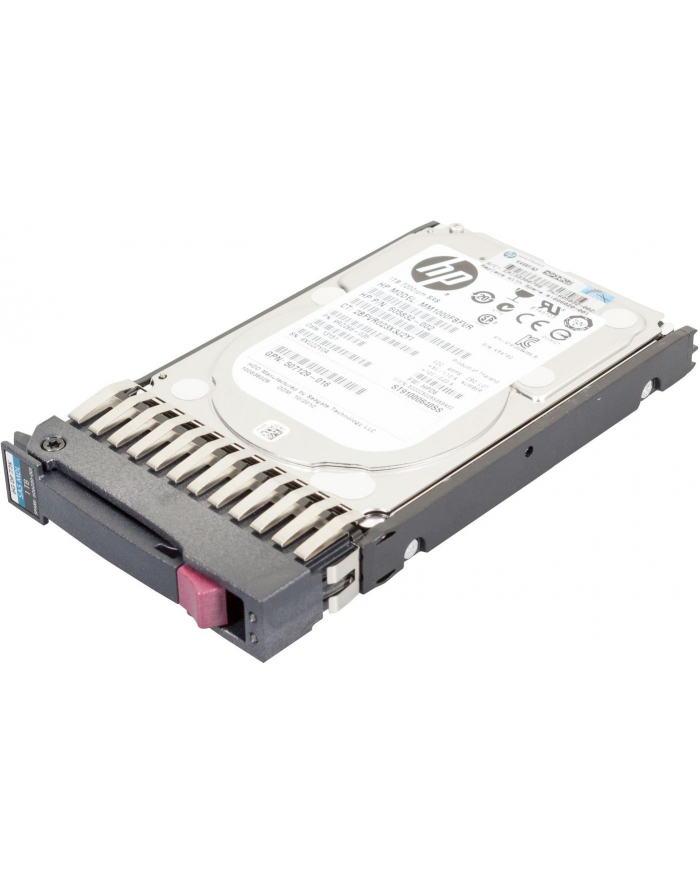 HEWLETT PACKARD - ESG HP HDD SAS 1TB 7.2k MDL 6G 2.5'' SFF G6/G7 606020-001 / 605835-B21 główny