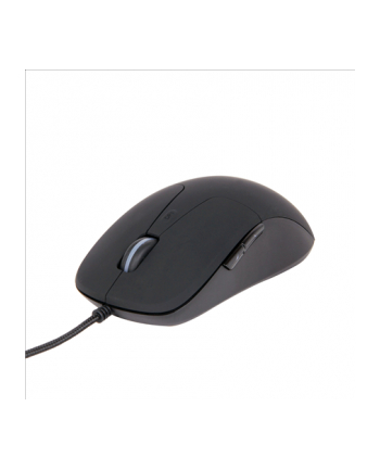 Gembird mysz optyczna USB MUS-UL-01, 2400 DPI, podświetlany scroll, czarna