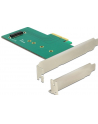 DeLOCK Adapter PCIe x4 - 1 x M.2 Key M NVMe Low Profile - nr 45