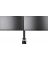 iiyama UCHWYT DS1002C-B1 2 EKRANY, PIVOT, VESA - nr 41