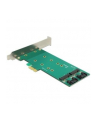 DeLOCK PCIe x1 > 2x M.2 + Low profile adapter - nr 2