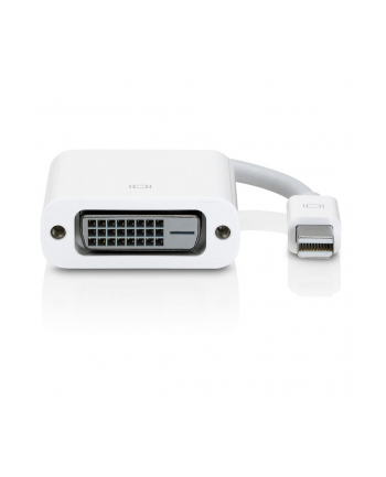 Apple Mini DisplayPort to DVI Adapter