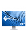 EIZO 24,1 L EV2456-WT - nr 19