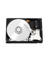 Dysk HDD Western Digital RED 3 5  1TB SATA III 64MB 5400obr/min WD10EFRX - nr 100