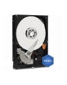 HDD WD BLUE 500GB 3 5  WD5000AZLX SATA III 32MB CAC - nr 43