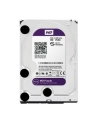 Dysk HDD Western Digital PURPLE 3 5  6TB SATA III 64MB 5400obr/min WD60PURX - nr 22