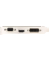 MSI GF GT 710 2048MB DDR3/64b V/H/D PCI-E LP - nr 59