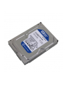 Dysk HDD Western Digital BLUE PC 3 5  1TB SATA III 64MB 7200obr/min WD10EZEX - nr 23