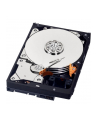 Dysk HDD Western Digital BLUE PC 3 5  1TB SATA III 64MB 7200obr/min WD10EZEX - nr 26