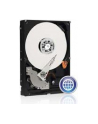 Dysk HDD Western Digital BLUE PC 3 5  1TB SATA III 64MB 7200obr/min WD10EZEX - nr 49