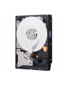 Dysk HDD Western Digital BLUE PC 3 5  1TB SATA III 64MB 7200obr/min WD10EZEX - nr 53