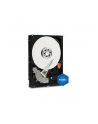 HDD WD BLUE 2TB 3 5  WD20EZRZ SATA III 64MB CACHE - nr 44