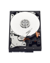 Dysk HDD Western Digital BLUE 3 5  3TB SATA III 64MB 5400obr/min WD30EZRZ - nr 23