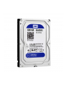 HDD WD BLUE 500GB 3 5  WD5000AZLX SATA III 32MB CAC - nr 11