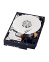 HDD WD BLUE 500GB 3 5  WD5000AZLX SATA III 32MB CAC - nr 16