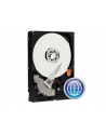 HDD WD BLUE 500GB 3 5  WD5000AZLX SATA III 32MB CAC - nr 19
