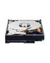 HDD WD BLUE 500GB 3 5  WD5000AZLX SATA III 32MB CAC - nr 22