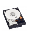 HDD WD BLUE 500GB 3 5  WD5000AZLX SATA III 32MB CAC - nr 27