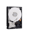 HDD WD BLUE 500GB 3 5  WD5000AZLX SATA III 32MB CAC - nr 29