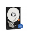 HDD WD BLUE 500GB 3 5  WD5000AZLX SATA III 32MB CAC - nr 33