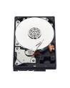 HDD WD BLUE 500GB 3 5  WD5000AZLX SATA III 32MB CAC - nr 35