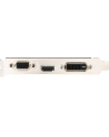 MSI GF GT 710 2048MB DDR3/64b V/H/D PCI-E LP - nr 58