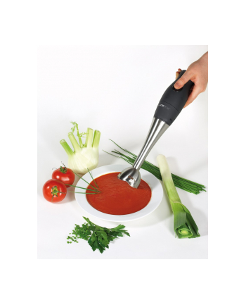 Blender CLATRONIC SMS 3190