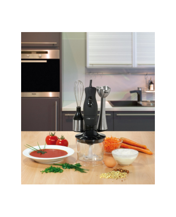 Blender CLATRONIC SMS 3190