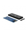 DeLOCK Case - M.2 SSD > USB3.1 - nr 31