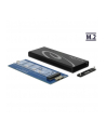 DeLOCK Case - M.2 SSD > USB3.1 - nr 22