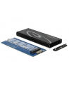 DeLOCK Case - M.2 SSD > USB3.1 - nr 9