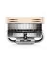 Noctua NH-L9x65 SE-AM4 - nr 40