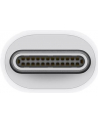 Apple Thunderbolt 3 (USB-C) to Thunderbolt 2 Adapter - nr 55