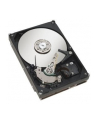 Fujitsu HDD SATA III 2000GB 7.2k - nr 12