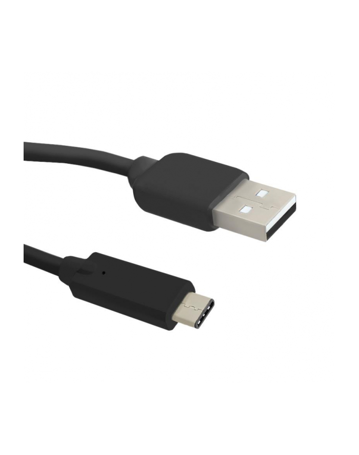 Qoltec Kabel USB 3.0 AM / USB 3.1 typC M | 0,25m główny