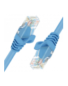 Unitek Kabel  UTP CAT.6 BLUE 1M; Y-C809ABL - nr 5