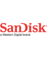 SANDISK EXTREME PRO microSDHC 32GB 100/90 MB/s A1 C10 V30 UHS-I U3 - nr 18