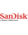 SANDISK EXTREME PRO microSDHC 32GB 100/90 MB/s A1 C10 V30 UHS-I U3 - nr 38