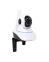 Gembird Kamera IP wewnętrzna 720p WiFi Smart obrotowa biała - nr 21
