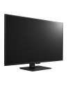 LG Monitor LCD 43UD79-B 43'' IPS, 3840x2160, 5ms - nr 93
