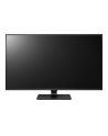 LG Monitor LCD 43UD79-B 43'' IPS, 3840x2160, 5ms - nr 103