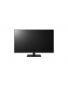 LG Monitor LCD 43UD79-B 43'' IPS, 3840x2160, 5ms - nr 32