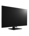 LG Monitor LCD 43UD79-B 43'' IPS, 3840x2160, 5ms - nr 59